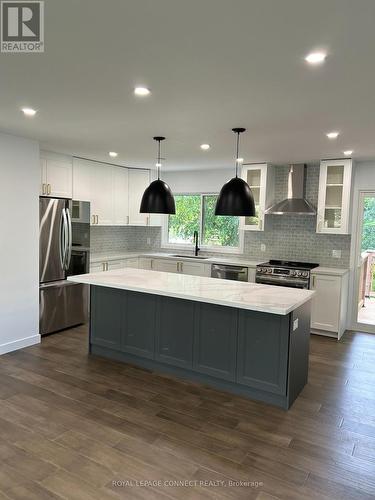 206 Laidlaw Street S, Brock, ON - Indoor Photo Showing Kitchen With Upgraded Kitchen