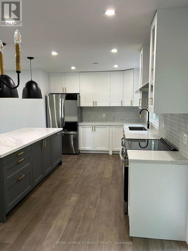 206 Laidlaw Street S, Brock, ON - Indoor Photo Showing Kitchen With Upgraded Kitchen