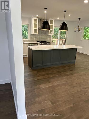 206 Laidlaw Street S, Brock, ON - Indoor Photo Showing Kitchen With Upgraded Kitchen