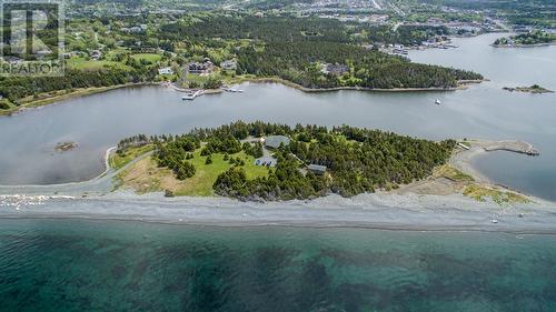 45 Atkins ""Burnt Island"" Road, Conception Bay South, NL - Outdoor With Body Of Water With View