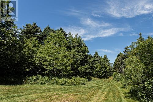 45 Atkins ""Burnt Island"" Road, Conception Bay South, NL - Outdoor With View