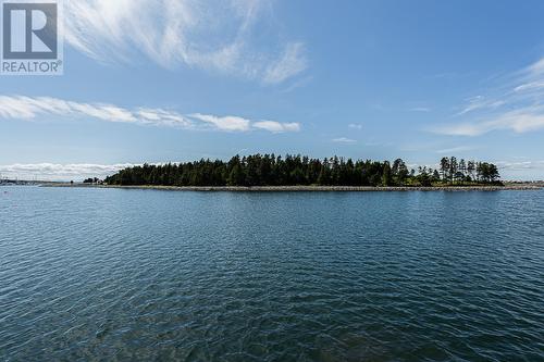 45 Atkins ""Burnt Island"" Road, Conception Bay South, NL - Outdoor With Body Of Water With View