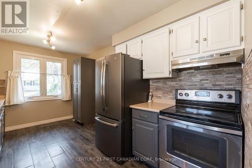 34 Blue Ridge Crescent, London, ON - Indoor Photo Showing Kitchen