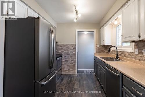 34 Blue Ridge Crescent, London, ON - Indoor Photo Showing Kitchen With Double Sink