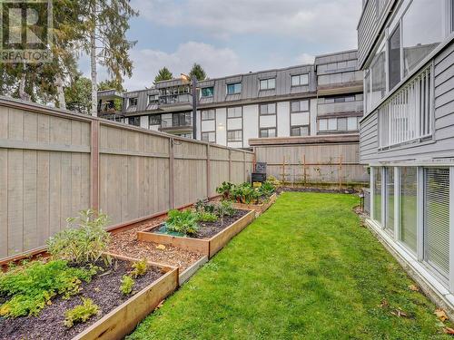 vegetable garden outside sunroom - 106 1110 Oscar St, Victoria, BC - Outdoor