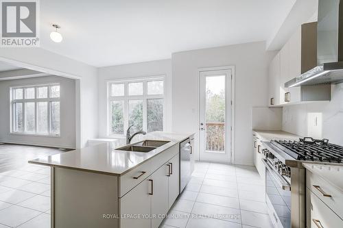 16 Rail Trail Court, Georgina, ON - Indoor Photo Showing Kitchen With Double Sink With Upgraded Kitchen