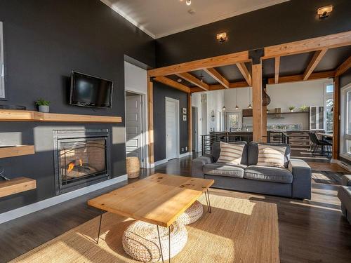 Salon - 410 Ch. Catherine-Delzenne, Les Éboulements, QC - Indoor Photo Showing Living Room With Fireplace