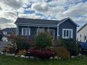 102 Tilleys Road South, Cbs, NL 