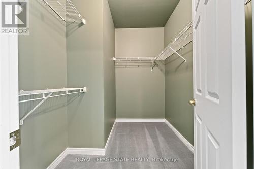 205 Greenbriar Road, Hamilton, ON - Indoor With Storage