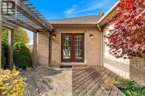 205 Greenbriar Road, Hamilton, ON - Outdoor