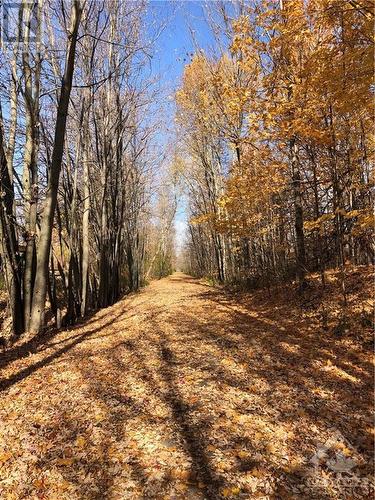 Osgoode Link Pathway - 1097 Manotick Station Road, Ottawa, ON - Outdoor With View