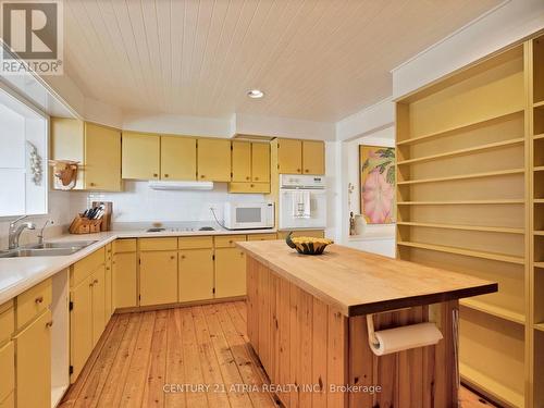 14210 7Th Concession Road, King, ON - Indoor Photo Showing Kitchen With Double Sink