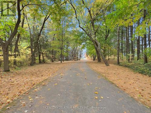 14210 7Th Concession Road, King, ON - Outdoor With View