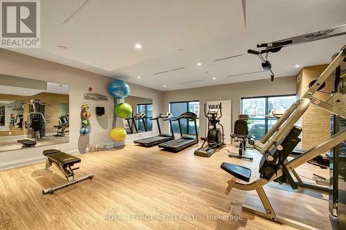 238 - 102 Grovewood Common Circle, Oakville, ON - Indoor Photo Showing Gym Room