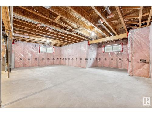 3915 Agar Co Sw, Edmonton, AB - Indoor Photo Showing Basement