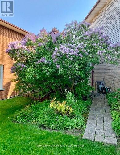 3 Nijinsky Court, Whitby, ON - Outdoor