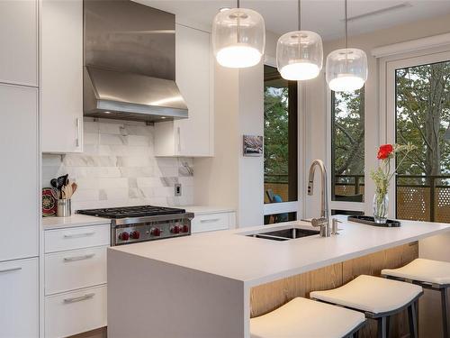 211-1201 Fort St, Victoria, BC - Indoor Photo Showing Kitchen With Double Sink With Upgraded Kitchen