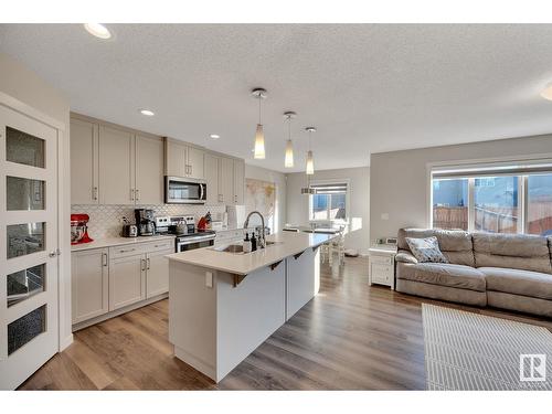 4819 173 Av Nw, Edmonton, AB - Indoor Photo Showing Kitchen With Stainless Steel Kitchen With Upgraded Kitchen