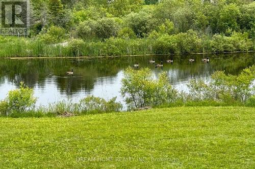 21830 Mccowan Road, East Gwillimbury, ON - Outdoor With Body Of Water