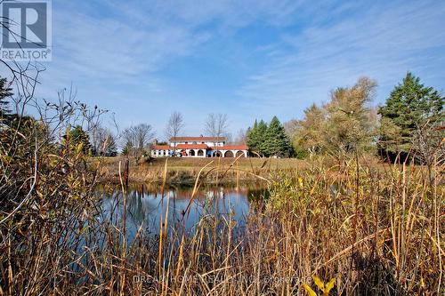 21830 Mccowan Road, East Gwillimbury, ON - Outdoor With View