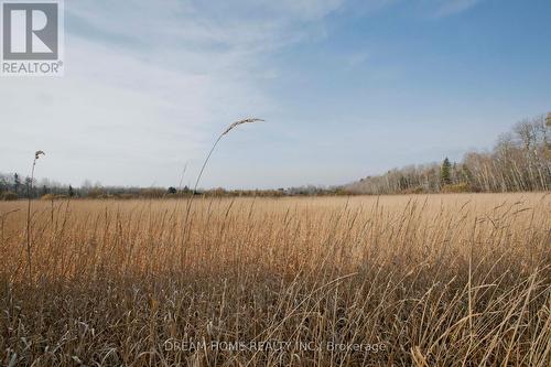 21830 Mccowan Road, East Gwillimbury, ON - Outdoor With View