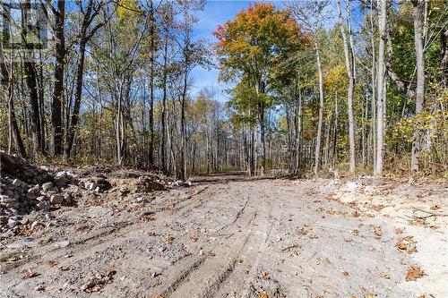 1528 Hwy 64 Unit# Lot #5, Alban, ON 