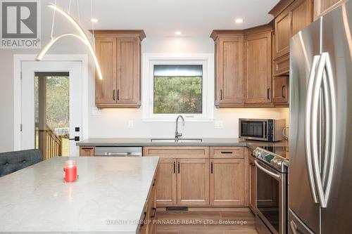 43 Birch Crescent, Kawartha Lakes (Bobcaygeon), ON - Indoor Photo Showing Kitchen With Upgraded Kitchen