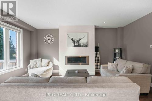 21 Melody Lane, East Luther Grand Valley, ON - Indoor Photo Showing Living Room With Fireplace