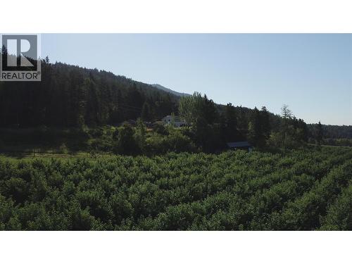 3423 3A Highway, Creston, BC 