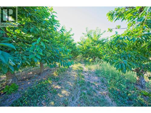 3423 3A Highway, Creston, BC 