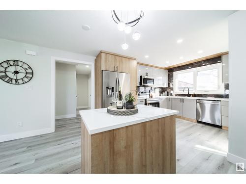 784 Lee Ridge Rd Nw, Edmonton, AB - Indoor Photo Showing Kitchen With Stainless Steel Kitchen With Upgraded Kitchen