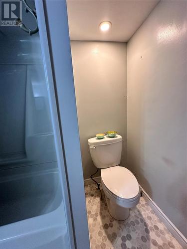 6 Stoodley Hill, Lance Aux Loupe, Grand Bank, NL - Indoor Photo Showing Bathroom