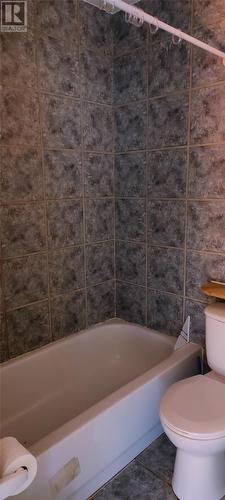 2 Alderwood Drive, Glovertown, NL - Indoor Photo Showing Bathroom