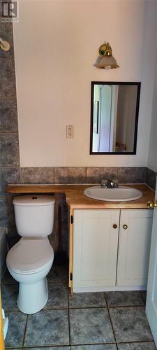 2 Alderwood Drive, Glovertown, NL - Indoor Photo Showing Bathroom