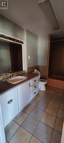 2 Alderwood Drive, Glovertown, NL - Indoor Photo Showing Bathroom