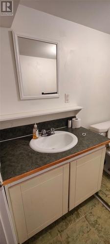 2 Alderwood Drive, Glovertown, NL - Indoor Photo Showing Bathroom