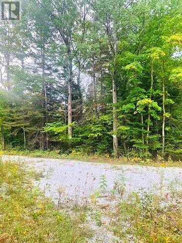 20675 Highway 540 Highway, Silver Water, Manitoulin Island, ON 