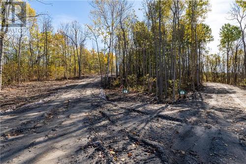 1528 Hwy 64 Unit# Lot #1, Alban, ON 