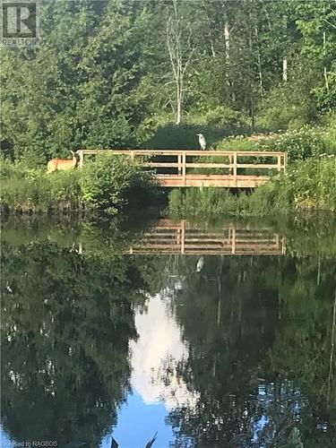 Bridge over pond - 2455 Highway 9, Brockton, ON - Outdoor With View