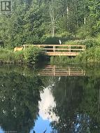 Bridge over pond - 