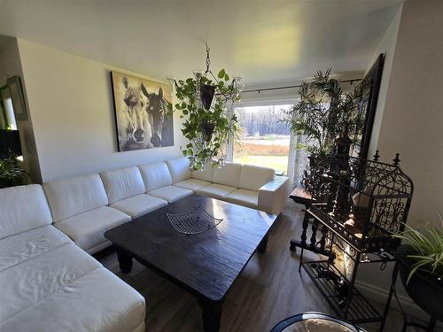 1844 17 Highway E, Kenora, ON - Indoor Photo Showing Living Room