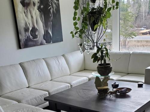 1844 17 Highway E, Kenora, ON - Indoor Photo Showing Living Room