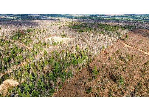 Lot #20 Green Rd, Elgin, NB 