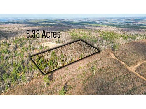 Lot #20 Green Rd, Elgin, NB 