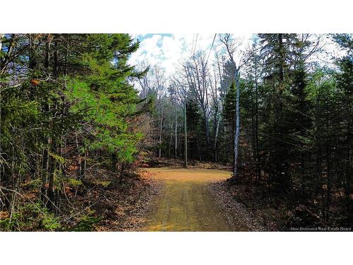 Lot #20 Green Rd, Elgin, NB 