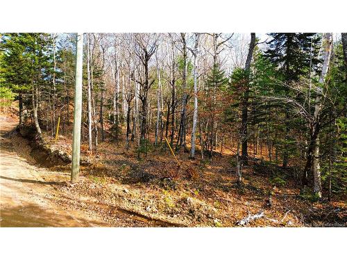 Lot #20 Green Rd, Elgin, NB 