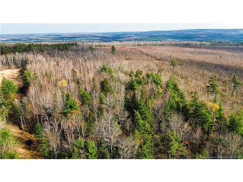 Lot #20 Green Rd, Elgin, NB 