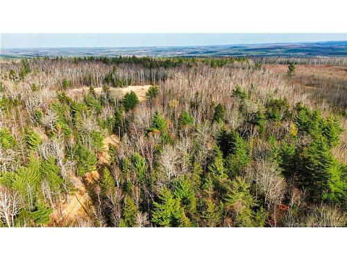 Lot #20 Green Rd, Elgin, NB 