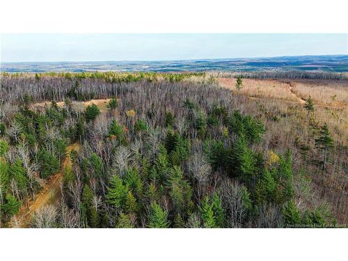 Lot #20 Green Rd, Elgin, NB 