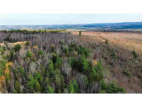 Lot #20 Green Rd, Elgin, NB 